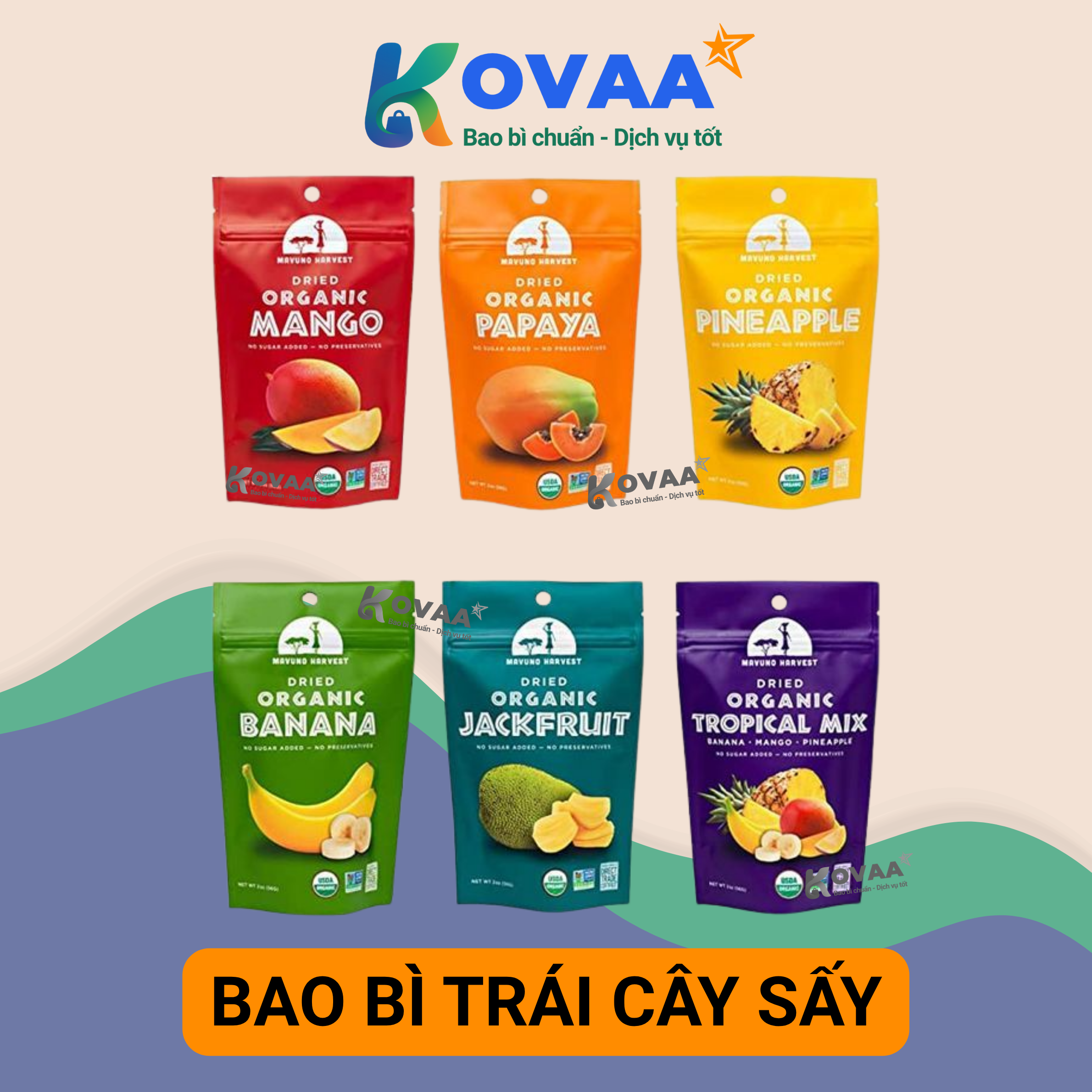 Bao bì trái cây sấy zipper đáy đứng hiện đại, khóa khí, in logo sắc nét